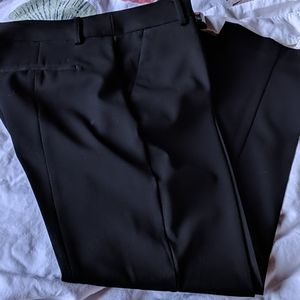 Express Columnist Dress Pant